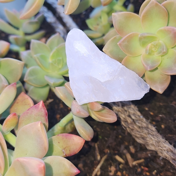 Crystals 🔮 - Picture 2 of 2